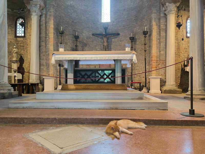 Триста горных километров и три оперы