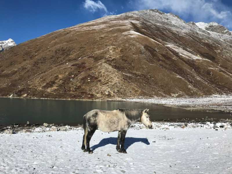 Парк "Сагарматха". Трек "Три перевала", на пределе физических сил.