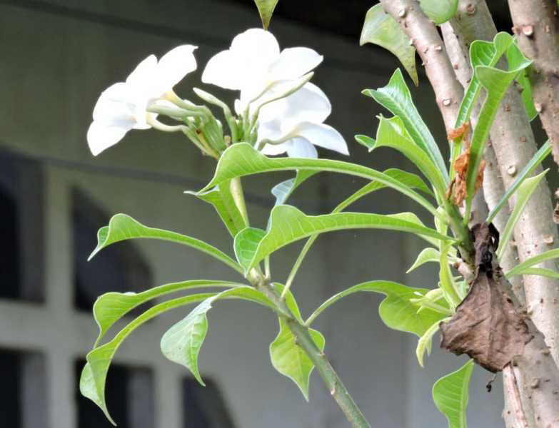 Колумбия, в натуре! Амазонка и другие регионы Колумбии, 2025