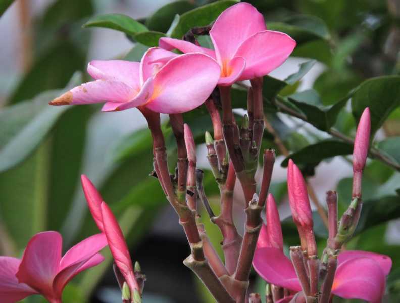 Колумбия, в натуре! Амазонка и другие регионы Колумбии, 2025