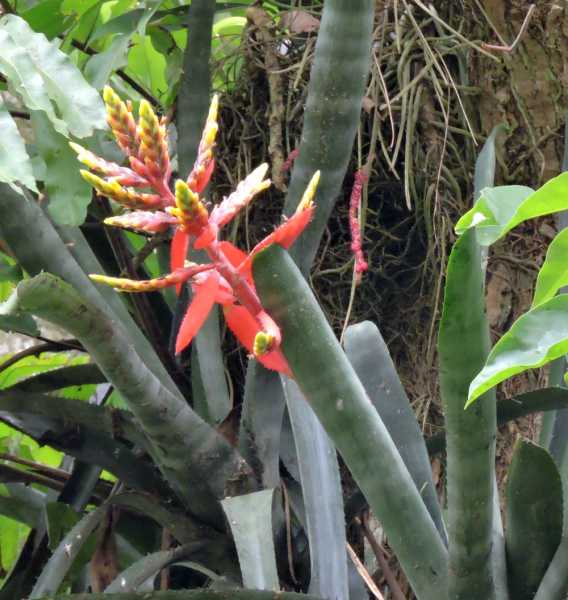 Колумбия, в натуре! Амазонка и другие регионы Колумбии, 2025