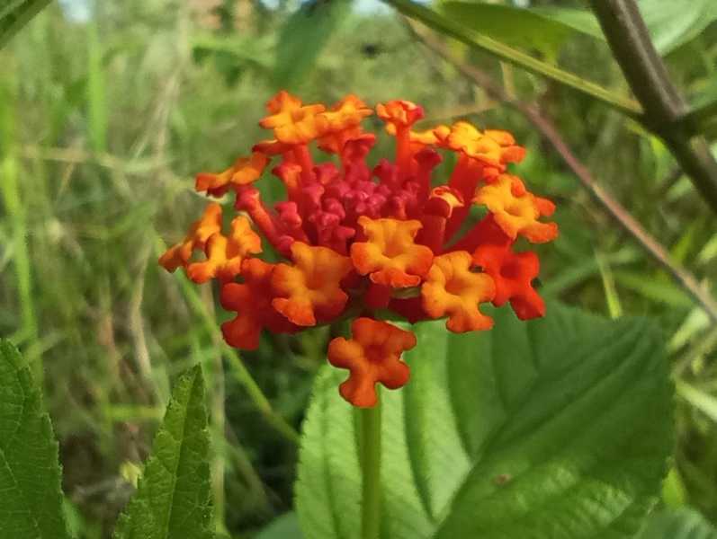 Колумбия, в натуре! Амазонка и другие регионы Колумбии, 2025