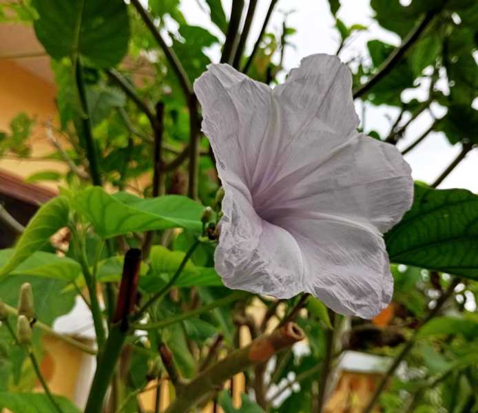 Колумбия, в натуре! Амазонка и другие регионы Колумбии, 2025