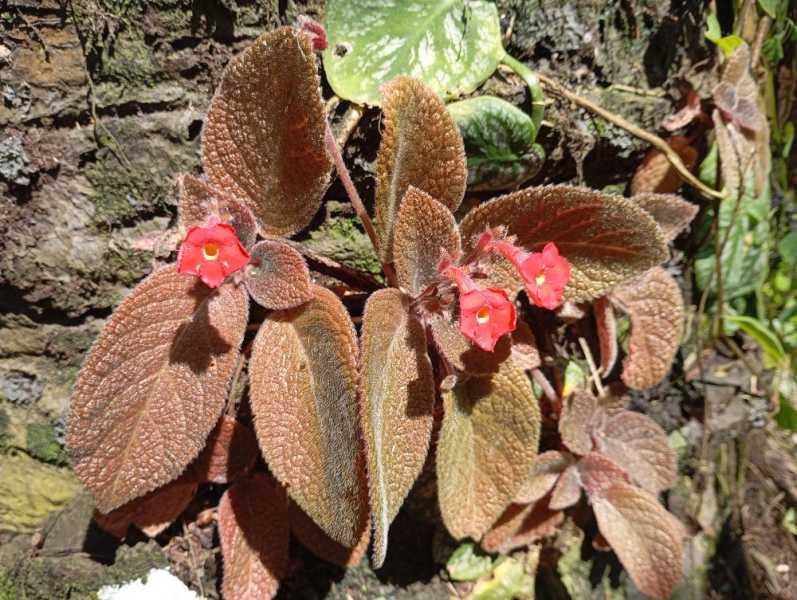 Колумбия, в натуре! Амазонка и другие регионы Колумбии, 2025