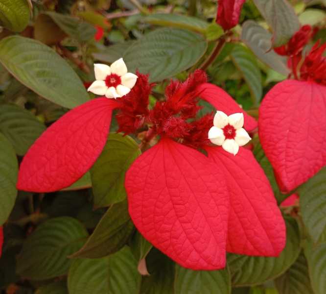 Колумбия, в натуре! Амазонка и другие регионы Колумбии, 2025