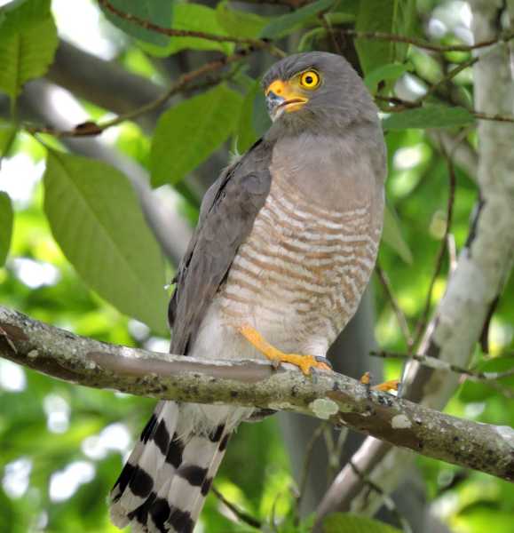 Колумбия, в натуре! Амазонка и другие регионы Колумбии, 2025