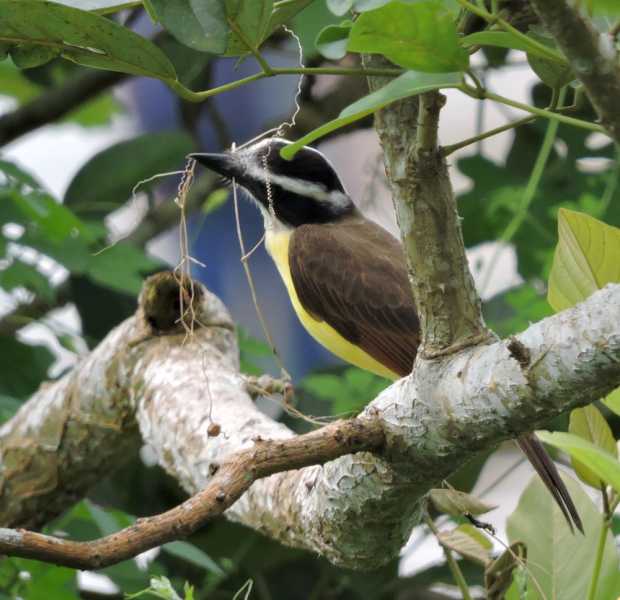 Колумбия, в натуре! Амазонка и другие регионы Колумбии, 2025