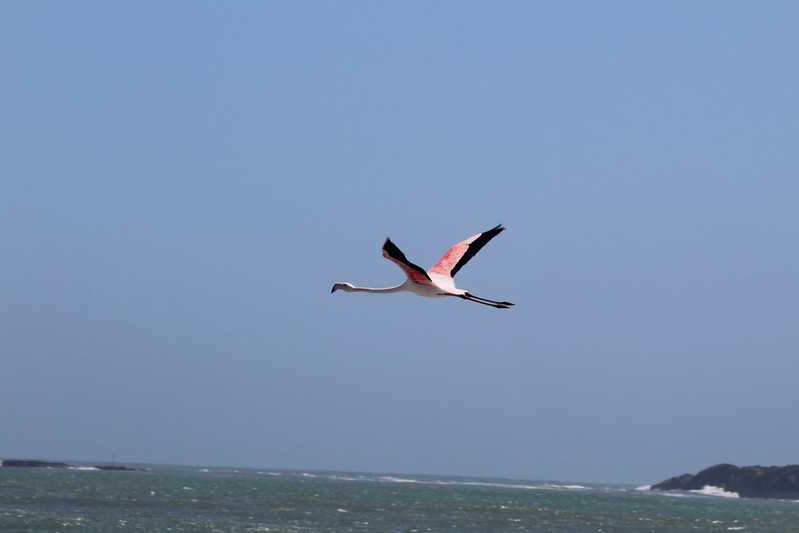 Южно-африканские приключения часть 2 20000 км (Намибия, Ботсвана, Замбия, Малави, Мозамбик) октябрь-декабрь 2025