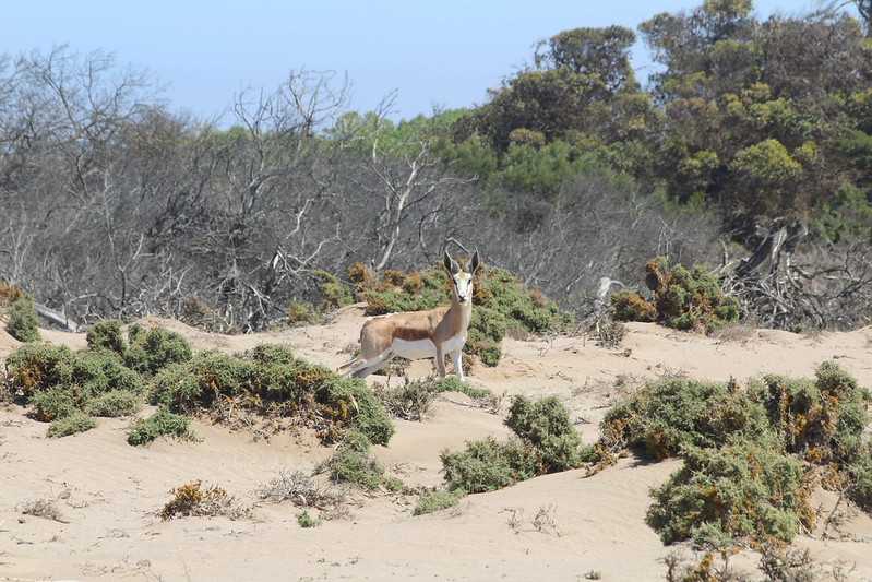 Южно-африканские приключения часть 2 20000 км (Намибия, Ботсвана, Замбия, Малави, Мозамбик) октябрь-декабрь 2025