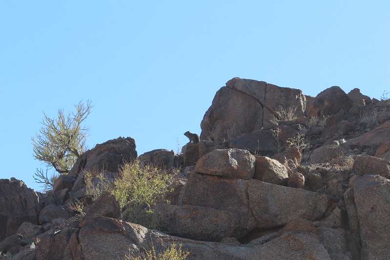 Южно-африканские приключения часть 2 20000 км (Намибия, Ботсвана, Замбия, Малави, Мозамбик) октябрь-декабрь 2025