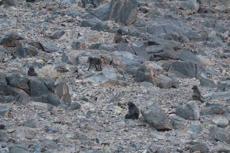 Южно-африканские приключения часть 2 20000 км (Намибия, Ботсвана, Замбия, Малави, Мозамбик) октябрь-декабрь 2025