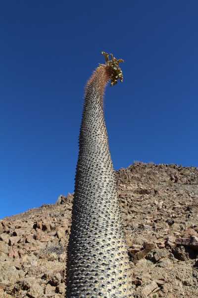 Южно-африканские приключения часть 2 20000 км (Намибия, Ботсвана, Замбия, Малави, Мозамбик) октябрь-декабрь 2025