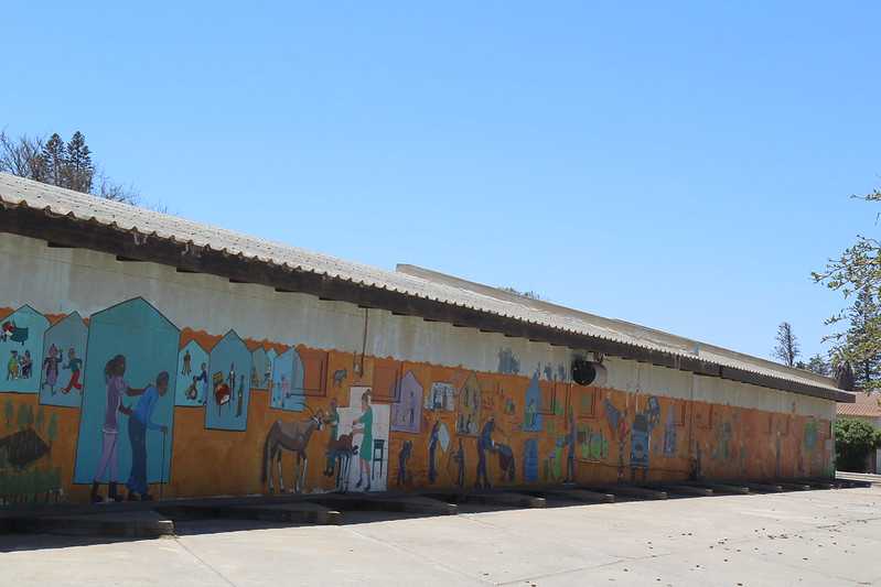 Южно-африканские приключения часть 2 20000 км (Намибия, Ботсвана, Замбия, Малави, Мозамбик) октябрь-декабрь 2025