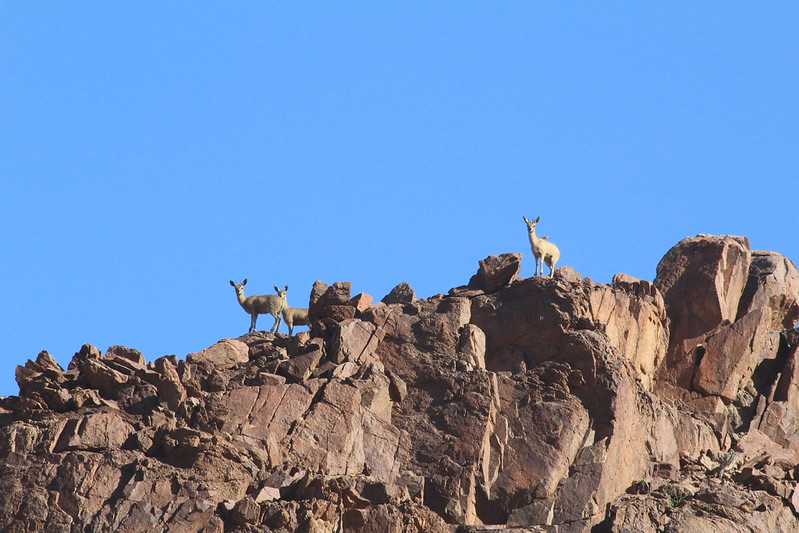 Южно-африканские приключения часть 2 20000 км (Намибия, Ботсвана, Замбия, Малави, Мозамбик) октябрь-декабрь 2025