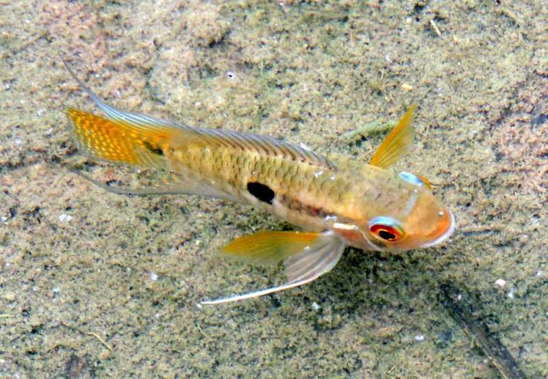 Колумбия, в натуре! Амазонка и другие регионы Колумбии, 2025