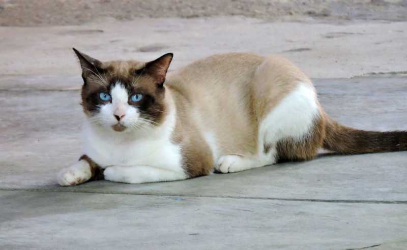 Колумбия, в натуре! Амазонка и другие регионы Колумбии, 2025