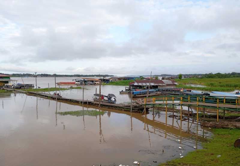 Колумбия, в натуре! Амазонка и другие регионы Колумбии, 2025