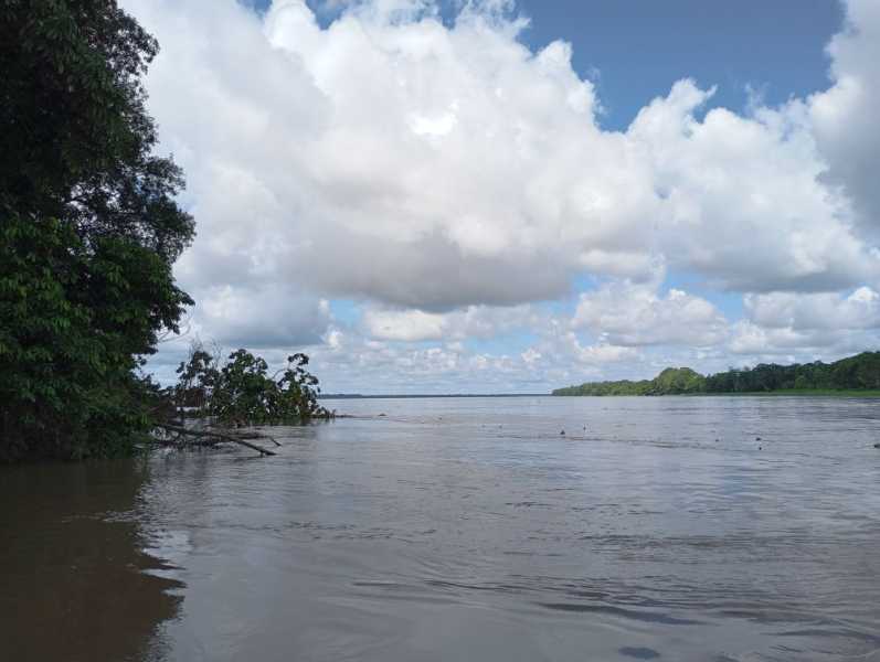 Колумбия, в натуре! Амазонка и другие регионы Колумбии, 2025