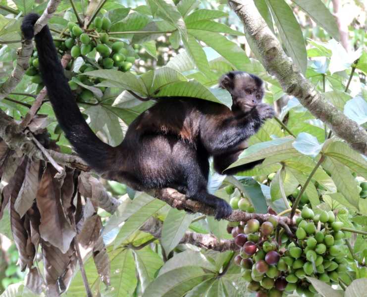 Колумбия, в натуре! Амазонка и другие регионы Колумбии, 2025