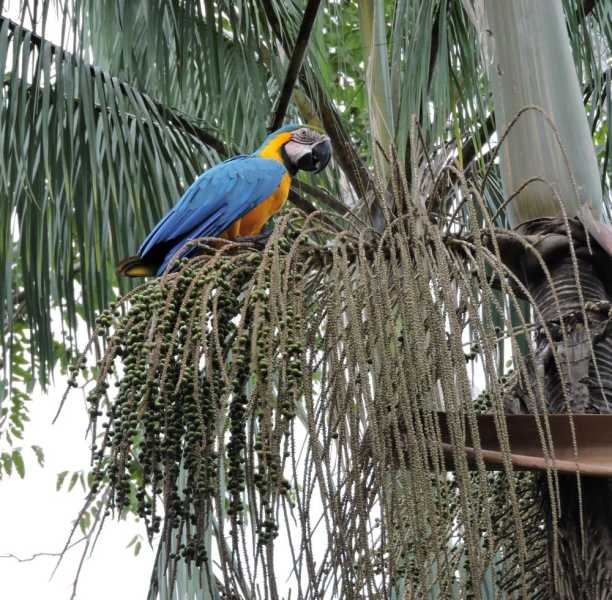 Колумбия, в натуре! Амазонка и другие регионы Колумбии, 2025