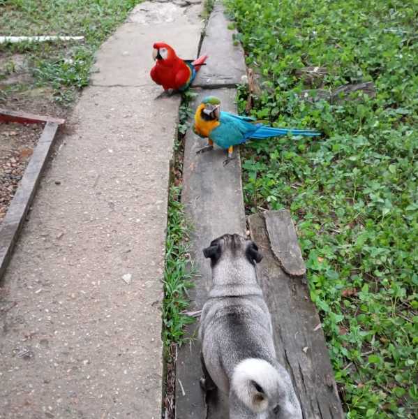 Колумбия, в натуре! Амазонка и другие регионы Колумбии, 2025