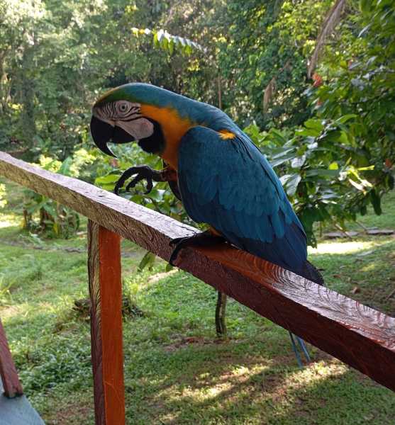 Колумбия, в натуре! Амазонка и другие регионы Колумбии, 2025