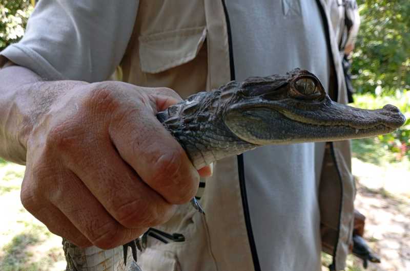 Колумбия, в натуре! Амазонка и другие регионы Колумбии, 2025