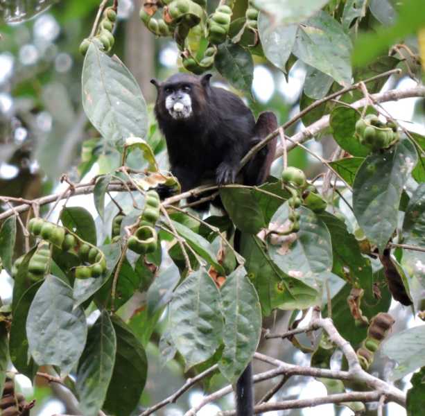 Колумбия, в натуре! Амазонка и другие регионы Колумбии, 2025