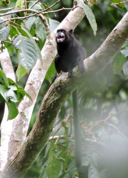 Колумбия, в натуре! Амазонка и другие регионы Колумбии, 2025