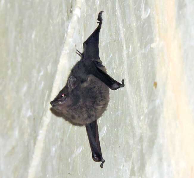 Колумбия, в натуре! Амазонка и другие регионы Колумбии, 2025