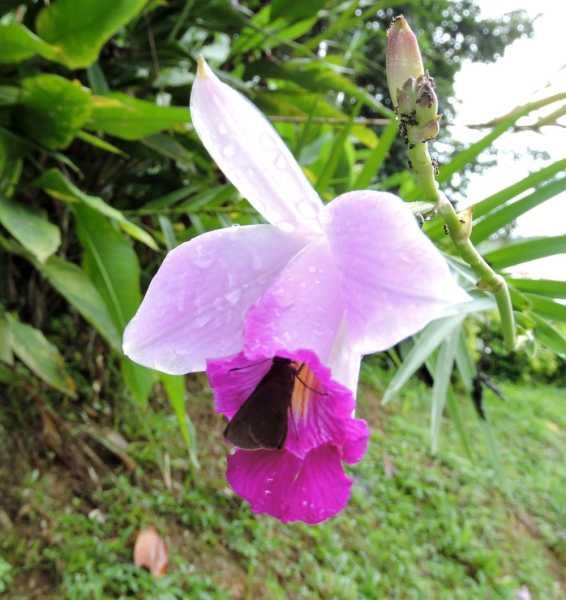 Колумбия, в натуре! Амазонка и другие регионы Колумбии, 2025