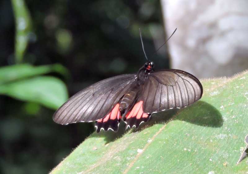 Колумбия, в натуре! Амазонка и другие регионы Колумбии, 2025