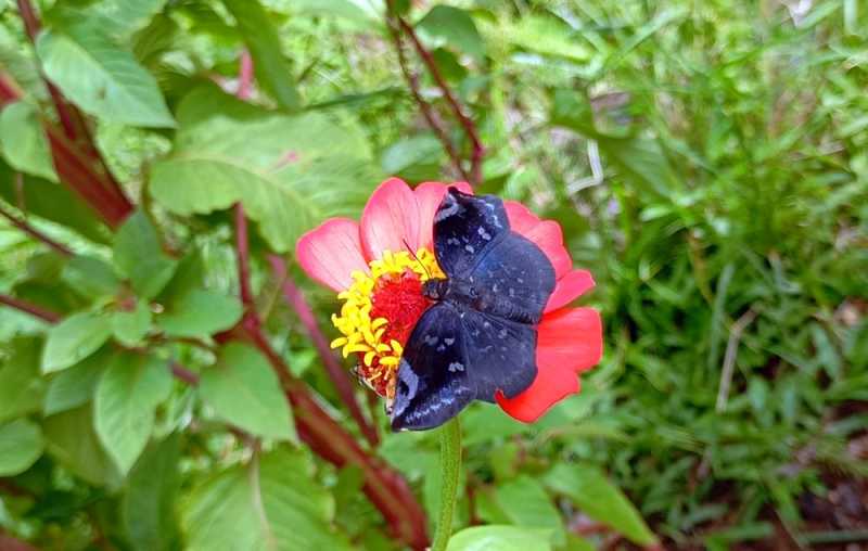 Колумбия, в натуре! Амазонка и другие регионы Колумбии, 2025