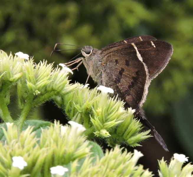 Колумбия, в натуре! Амазонка и другие регионы Колумбии, 2025
