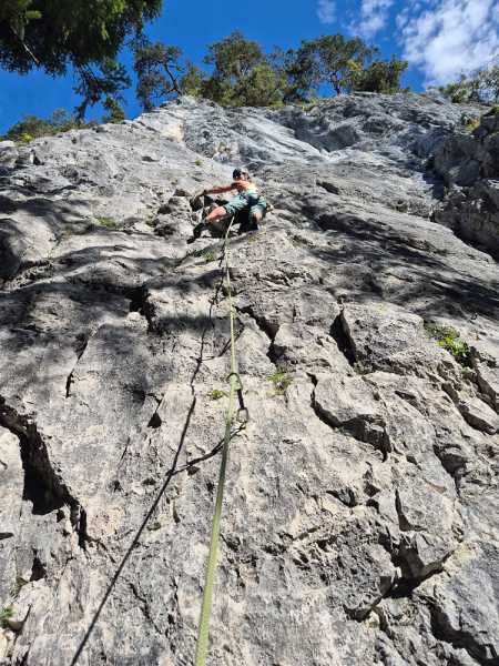 Альпийский дневник 2025