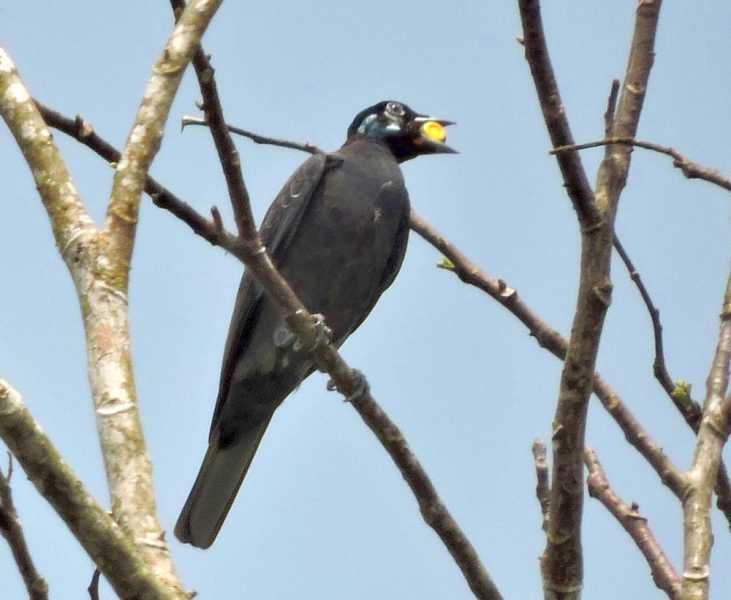 Колумбия, в натуре! Амазонка и другие регионы Колумбии, 2025