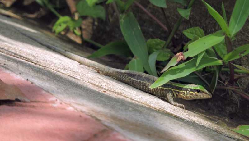 Колумбия, в натуре! Амазонка и другие регионы Колумбии, 2025