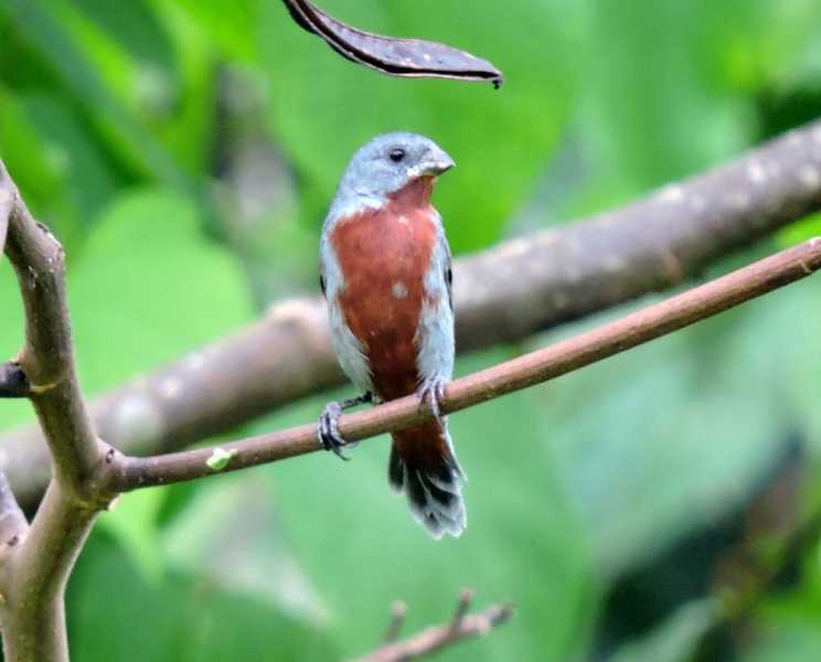 Колумбия, в натуре! Амазонка и другие регионы Колумбии, 2025