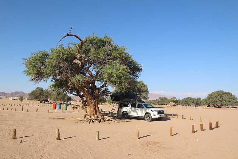 Южно-африканские приключения часть 2 20000 км (Намибия, Ботсвана, Замбия, Малави, Мозамбик) октябрь-декабрь 2025