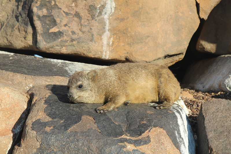 Южно-африканские приключения часть 2 20000 км (Намибия, Ботсвана, Замбия, Малави, Мозамбик) октябрь-декабрь 2025