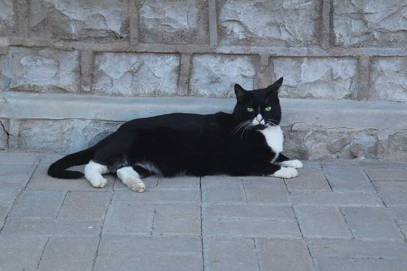 Южно-африканские приключения часть 2 20000 км (Намибия, Ботсвана, Замбия, Малави, Мозамбик) октябрь-декабрь 2025