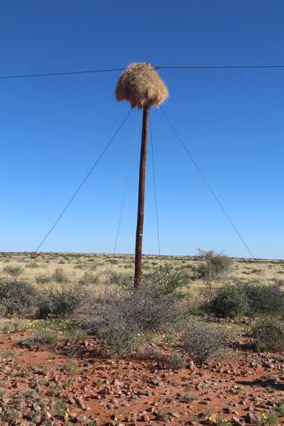 Южно-африканские приключения часть 2 20000 км (Намибия, Ботсвана, Замбия, Малави, Мозамбик) октябрь-декабрь 2025