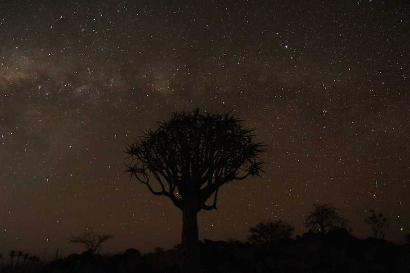 Южно-африканские приключения часть 2 20000 км (Намибия, Ботсвана, Замбия, Малави, Мозамбик) октябрь-декабрь 2025