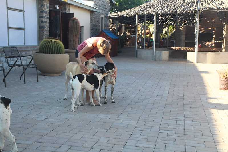 Южно-африканские приключения часть 2 20000 км (Намибия, Ботсвана, Замбия, Малави, Мозамбик) октябрь-декабрь 2025