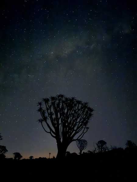 Южно-африканские приключения часть 2 20000 км (Намибия, Ботсвана, Замбия, Малави, Мозамбик) октябрь-декабрь 2025