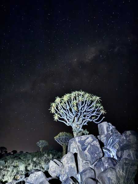 Южно-африканские приключения часть 2 20000 км (Намибия, Ботсвана, Замбия, Малави, Мозамбик) октябрь-декабрь 2025