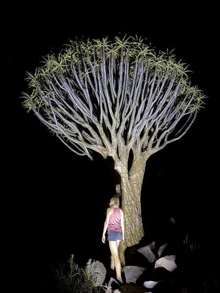 Южно-африканские приключения часть 2 20000 км (Намибия, Ботсвана, Замбия, Малави, Мозамбик) октябрь-декабрь 2025