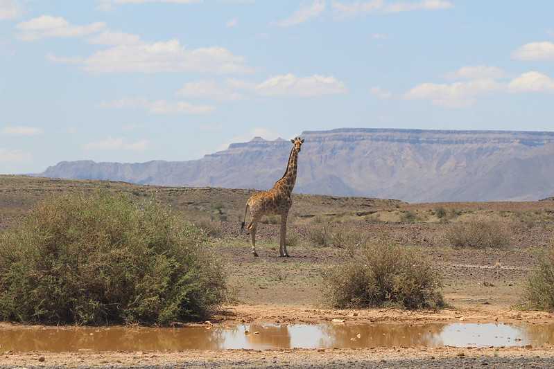Южно-африканские приключения часть 2 20000 км (Намибия, Ботсвана, Замбия, Малави, Мозамбик) октябрь-декабрь 2025