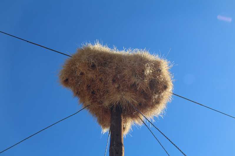 Южно-африканские приключения часть 2 20000 км (Намибия, Ботсвана, Замбия, Малави, Мозамбик) октябрь-декабрь 2025