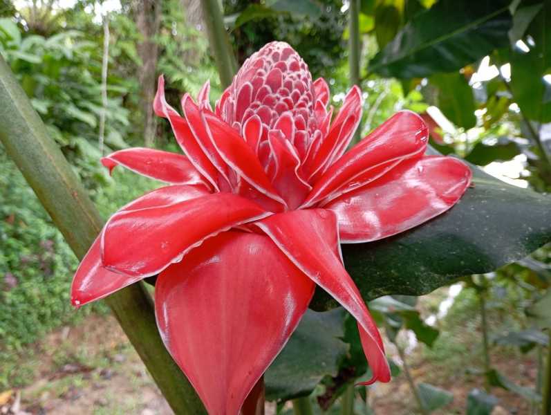 Колумбия, в натуре! Амазонка и другие регионы Колумбии, 2025